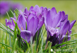 1、最旺财的微信名旺运又旺财的微信名