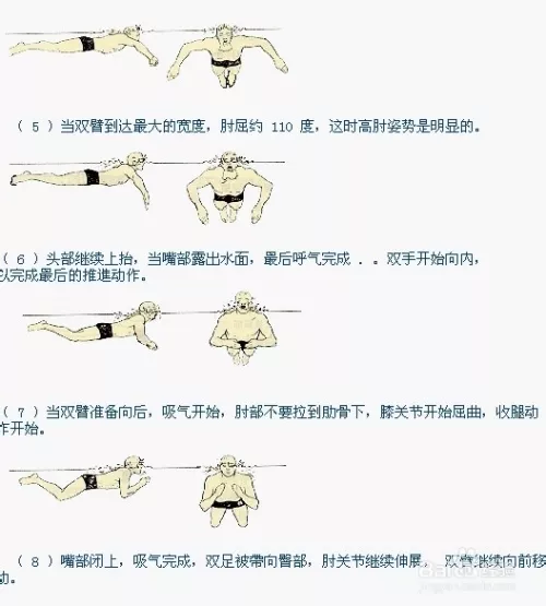 3、蛙泳时如何换气