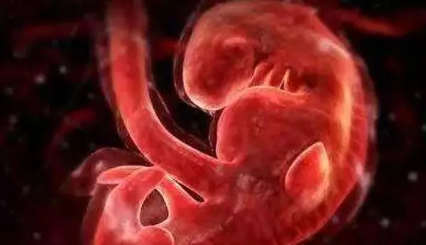 3、都说怀男孩子头在上面在下面,正好怀女孩子相反头下上