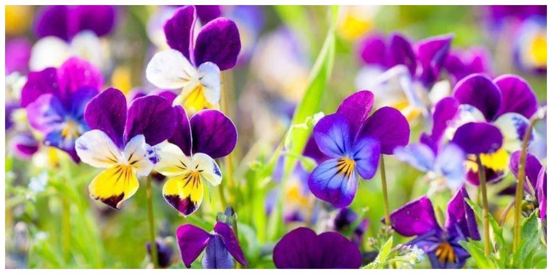 1、招财又好听微信名招财运的微信名字