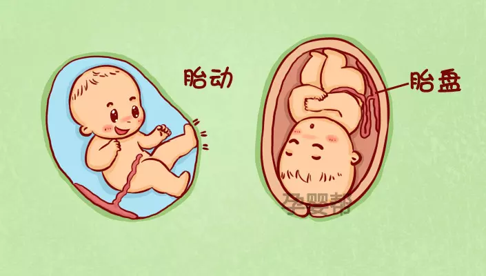 4、有人说B超也能看男女，想知道我的是什么意思，有懂的朋友吗？