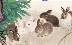 2、男属兔女属龙相配吗