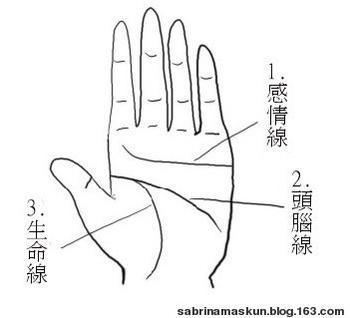 2、看手相时，手中的三条线分别代表什么啊！怎么看呢？