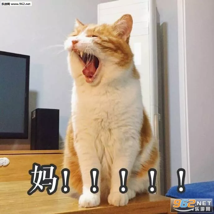 3、男人在要求女人时都会说什么话？