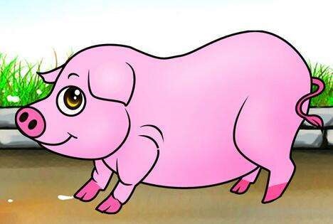 2、95年属猪**婚配95年属猪**婚配年龄