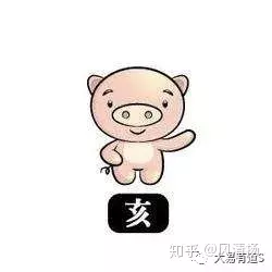 4、九紫离火运鼠人运势