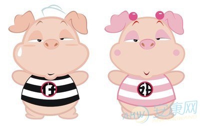 2、年属猪人的命运年属猪是什么命