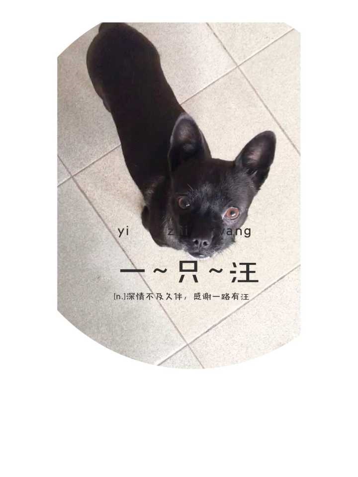 2、和男友**次，走不了路，胀痛胀痛的，感觉不正常了，怎么办？？？