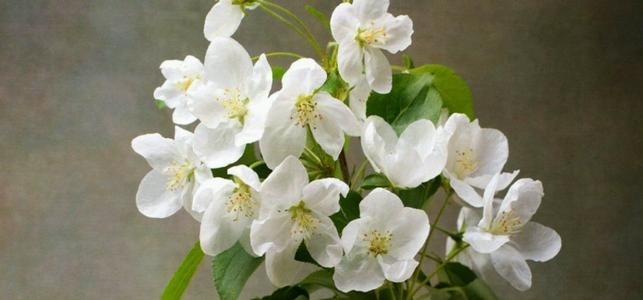 2、亲人去世前会有征兆吗？