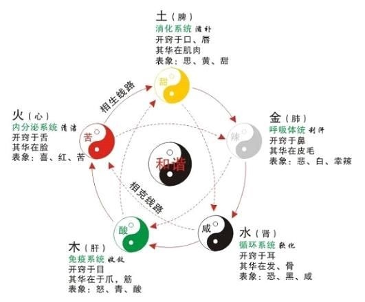 1、五脏六腑是如何相生相克