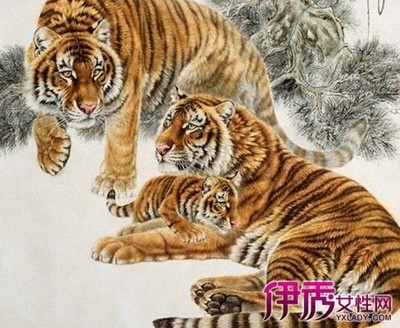 1、属虎的哪个出生日最差