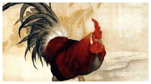 2、属鸡的人年多大了 今年肖鸡人运势好不好？