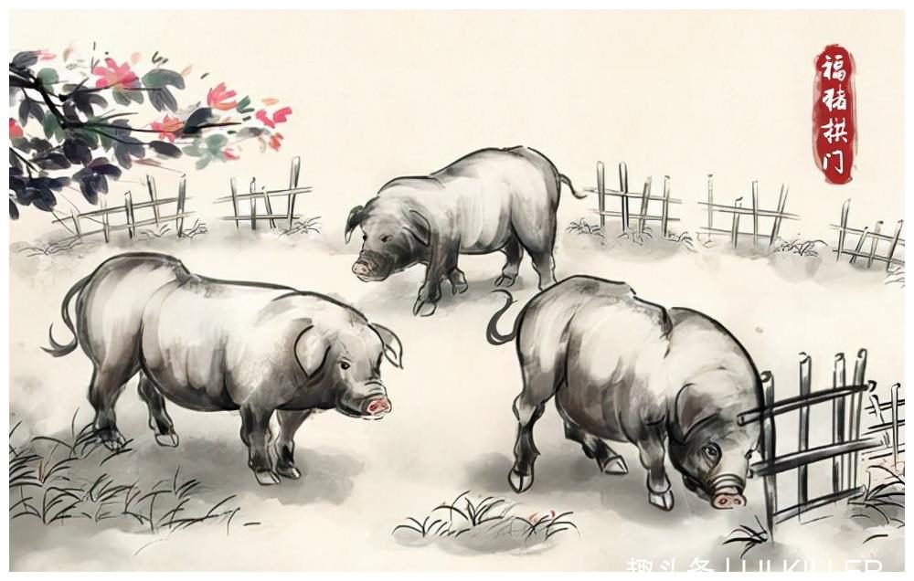 1、年出生的今年运势？