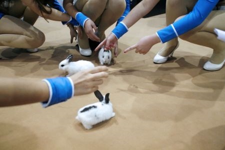 2、男生为什么会捏女生的小兔兔？