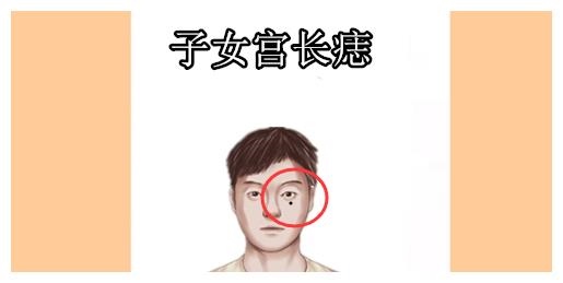 1、子女宫看如何教孩子