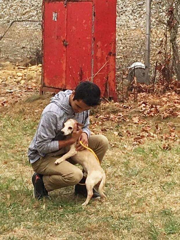 2、家里的狗死了有什么预兆