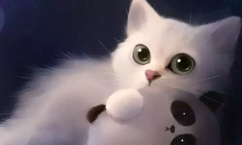 3、关于猫咪的网名，不要号的，**可爱一点。