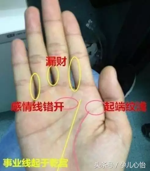 3、看手相怎么能看出自己有几段婚姻