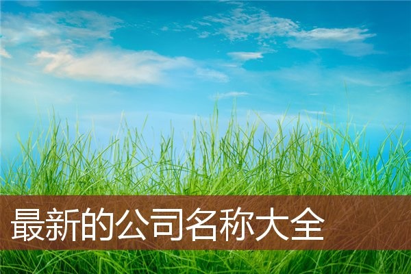 2、公司名称大全简单大气
