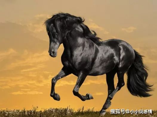 3、为什么有的人转大运之前就变好了