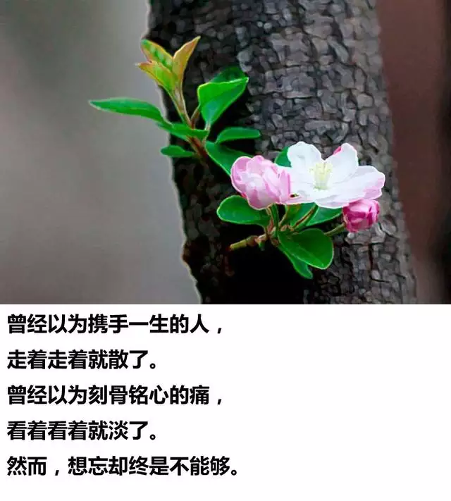 4、缘份真的是天注定的吗？