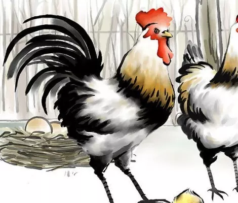 4、81年属鸡的年运势每月运势？