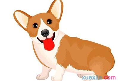 1、属龙和属狗怎样和财运亨通