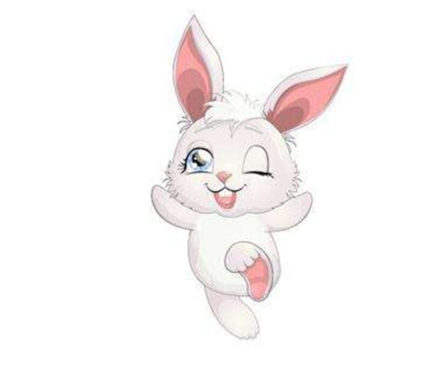 2、属兔男**婚配属兔男**婚配是属什么的