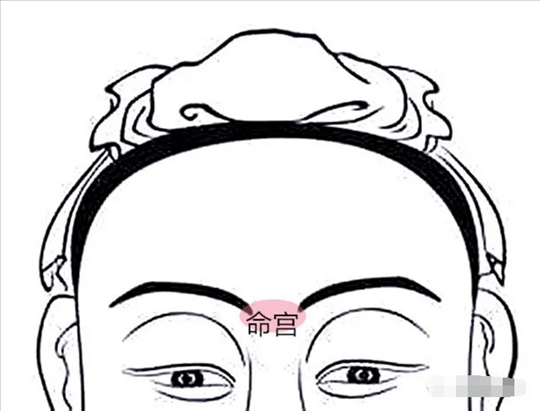 2、斗数十二宫各个宫位分别对应的身体部位是怎样的