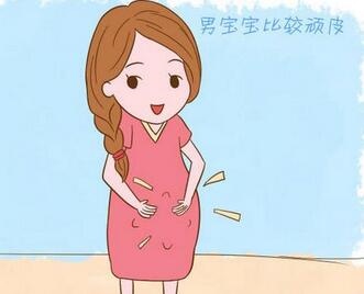 2、怎么辩男女