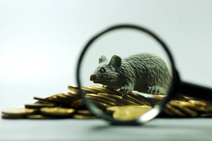 2、年属鼠女姻缘在哪年