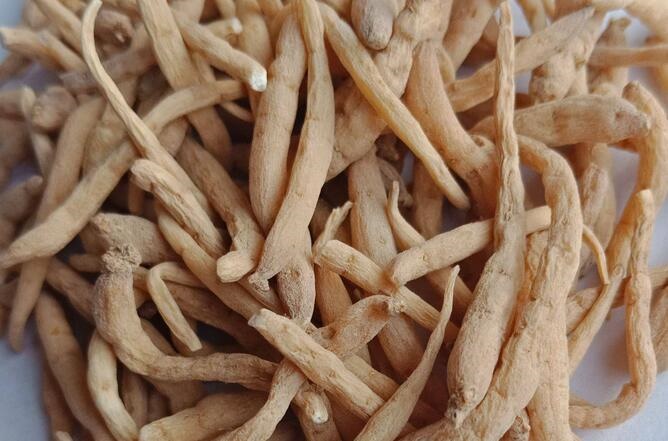 1、红参、高丽参、别直参、太子参有什么区别，以及他们的功效与副作用