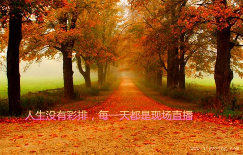 2、想换个心情忘记过去的网名