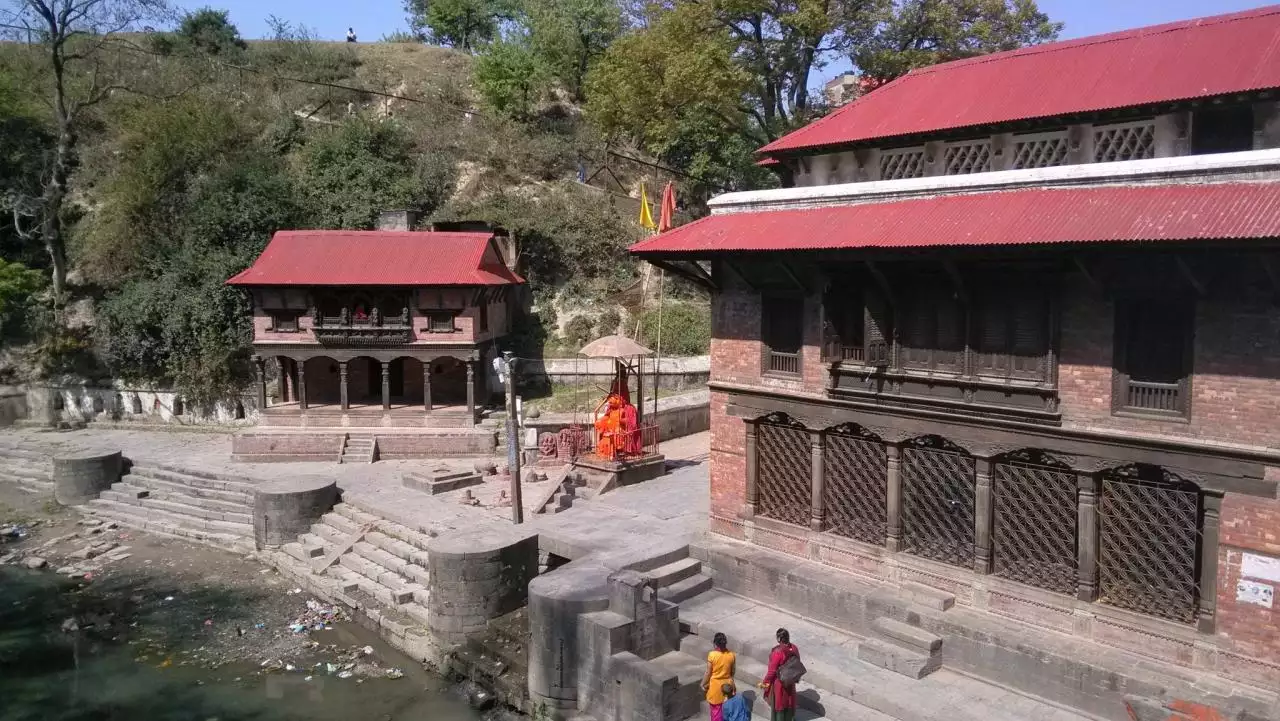 4、火葬场，猜一生肖？