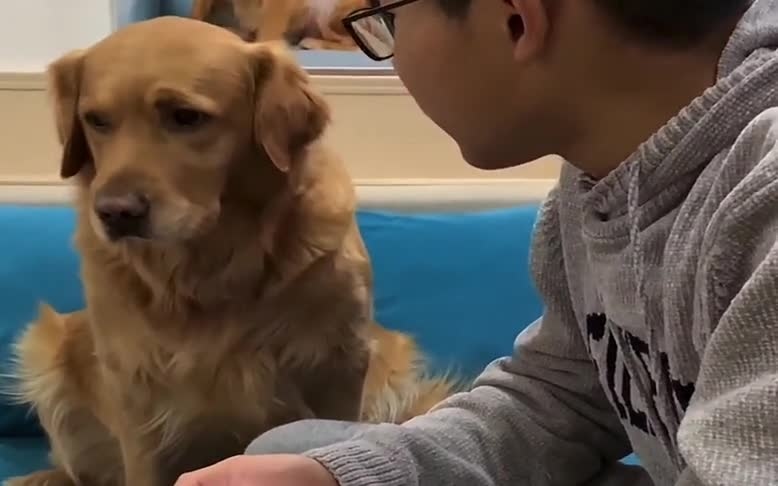 2、属狗的人一生中的命运怎样