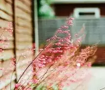 4、女生优雅气质的微信名字有哪些?