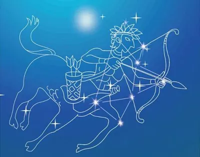 3、**可以虐狮子的星座