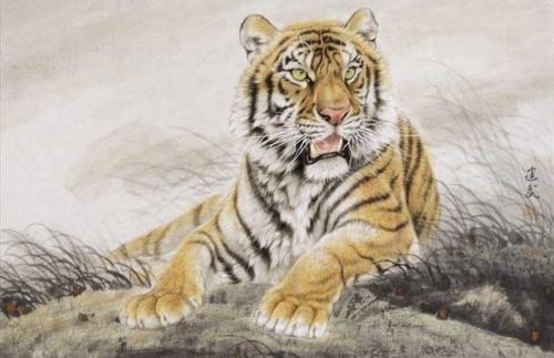 1、属虎的女孩哪月**虎年哪个月出生的女宝宝比较好