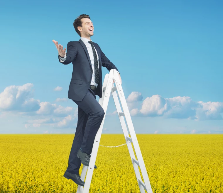 请问星座是怎么分的 十二星座有哪些座