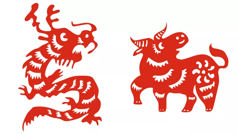 3、男属牛女属龙相配吗