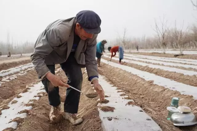 4、墓碑上刻着家人的名字被埋在地下,风水有什么问题吗