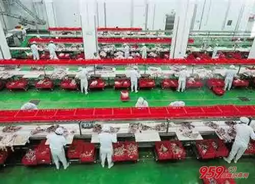 4、农村办厂小投资好项目