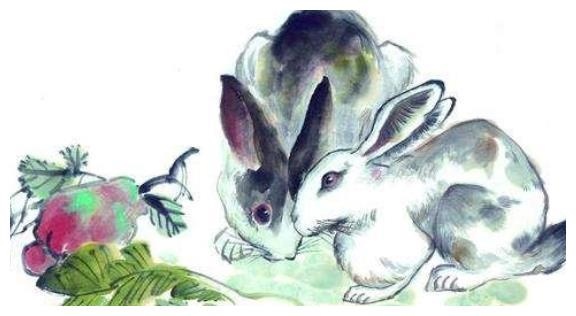 1、属兔年谁都躲不过的劫难（属虎和属兔的相冲吗）