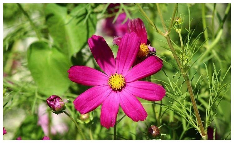 2、什么东西会压人的运气