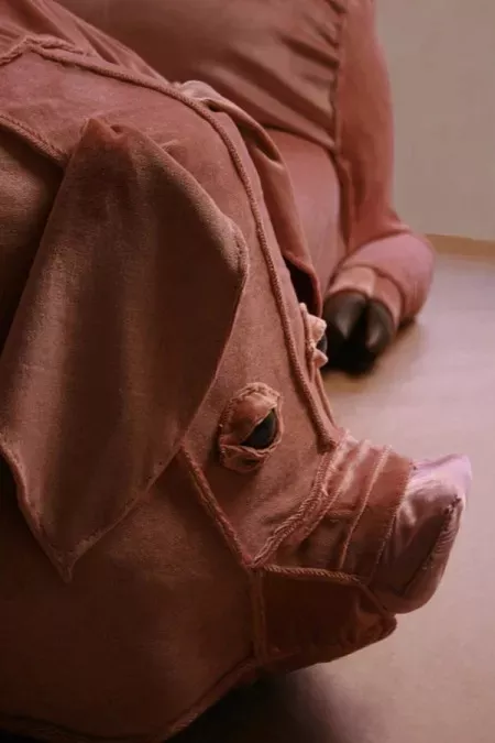 4、一成不变的动物是啥生肖