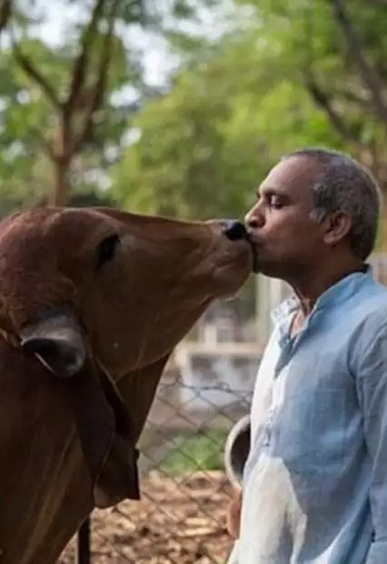 3、女牛男狗能过一辈子吗