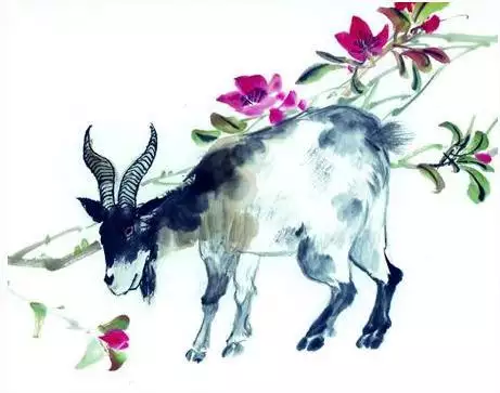 4、年属羊的**配偶