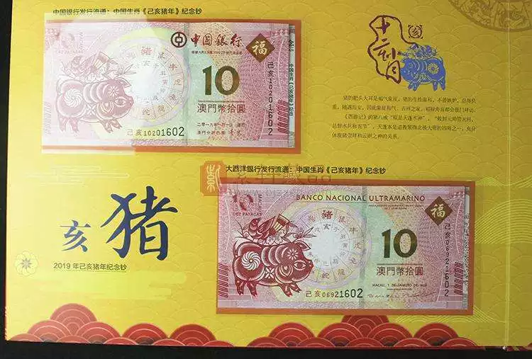 4、49是什么生肖