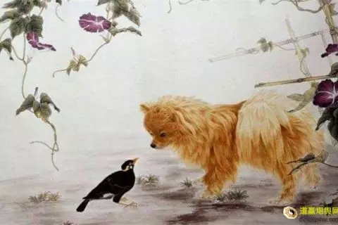 3、我是属羊的我老婆是属狗的我俩相刑怎么办，有什么可以破或什么可以化解吗