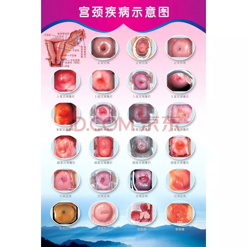 3、B型血女人的性格